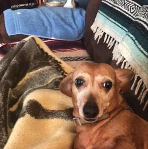 Meet your Posher, Debbie